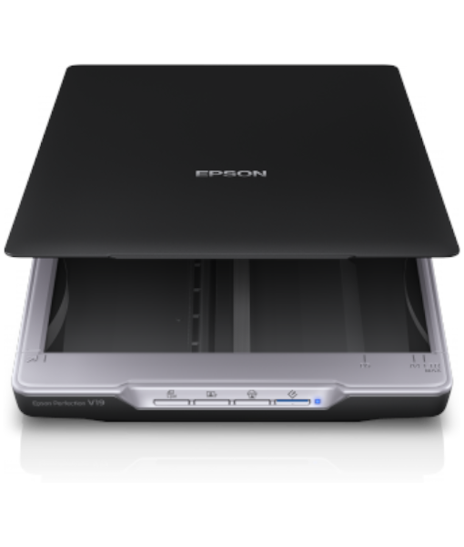 EPSON SCANNER PERFECTION V19