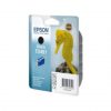 Epson T0481 PHOTO R300 Black Cartridge