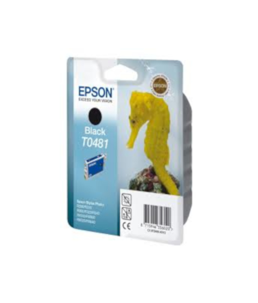 Epson T0481 PHOTO R300 Black Cartridge