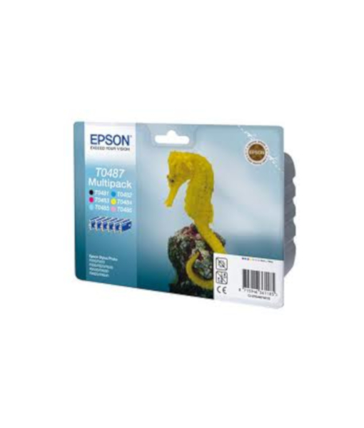 Epson T0487 PHOTO R300 Multipack Cartridge x6