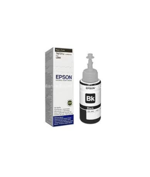Epson T6731 Black Cartridge
