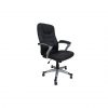 Executive Office Chair 8309