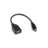 Mini USB to Female USB