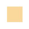 PALE ORANGE