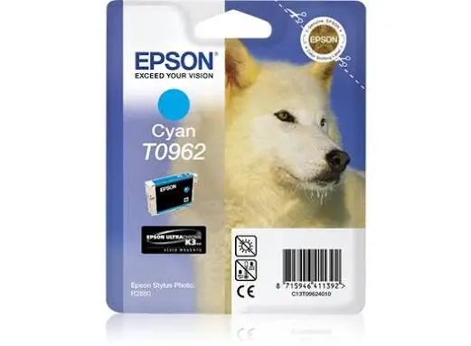 Epson T096 Husky Photo Ink Cartridge [T096]
