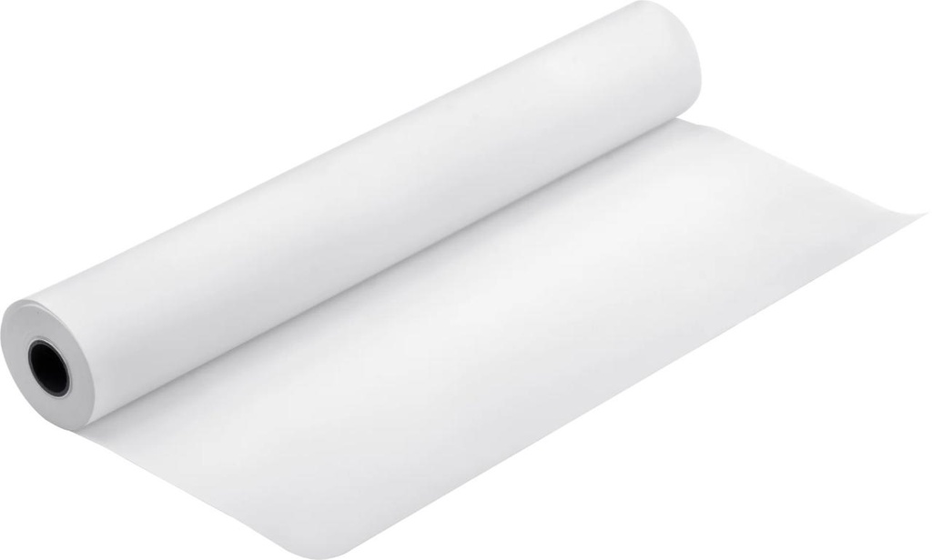 Epson S041102 Photo Quality Inkjet Banner Paper Roll, 420 mm × 15 m, 102 g/m², Matte White (C13S041102) (84439990)